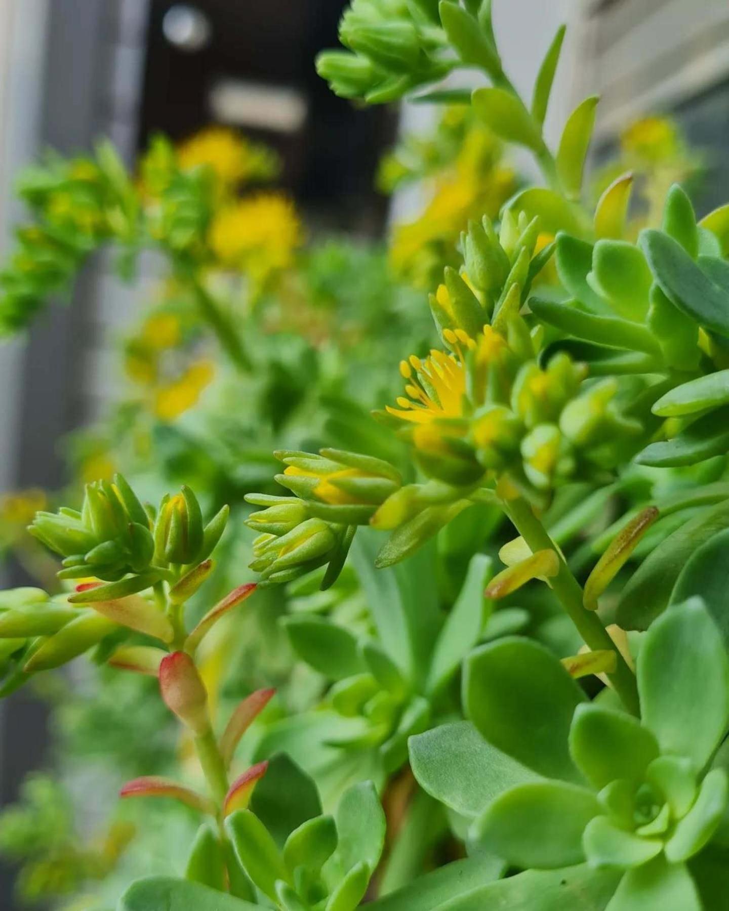 فندق 4 Venti Curtatone المظهر الخارجي الصورة